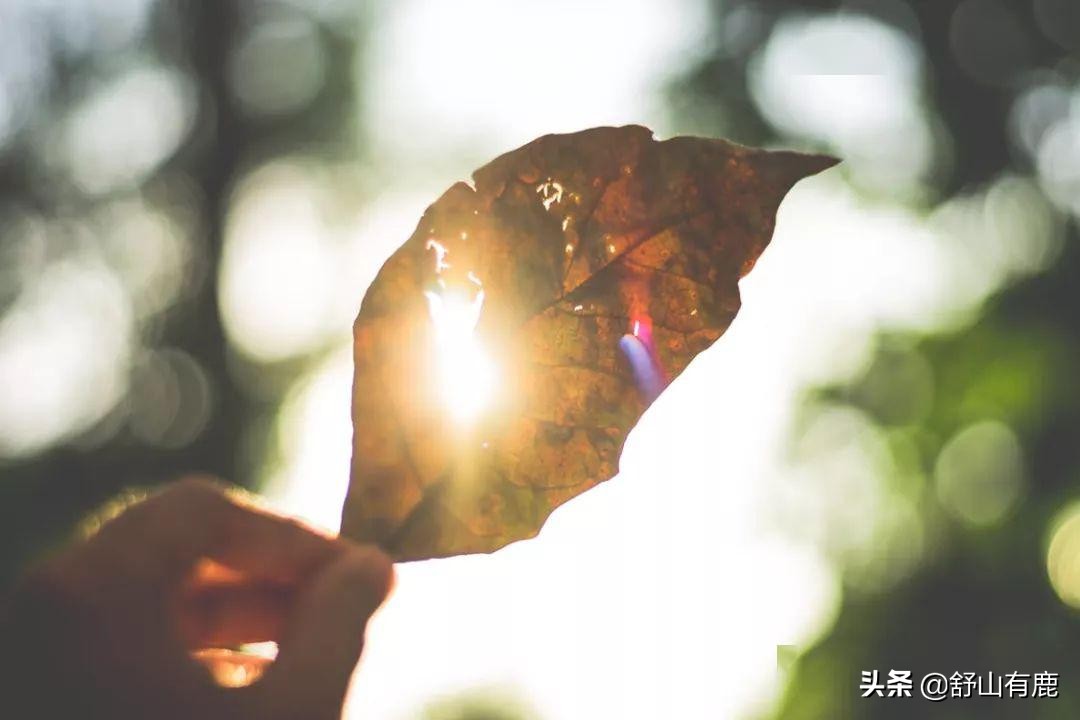 通透的人，都把这三件事做到极致：宁缺毋滥，及时止损，离群索居