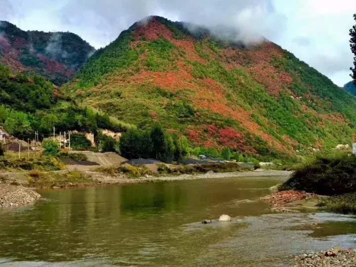 中国醉美秋色在秦岭,2条自驾路线解锁最绚烂秋景,10月最美