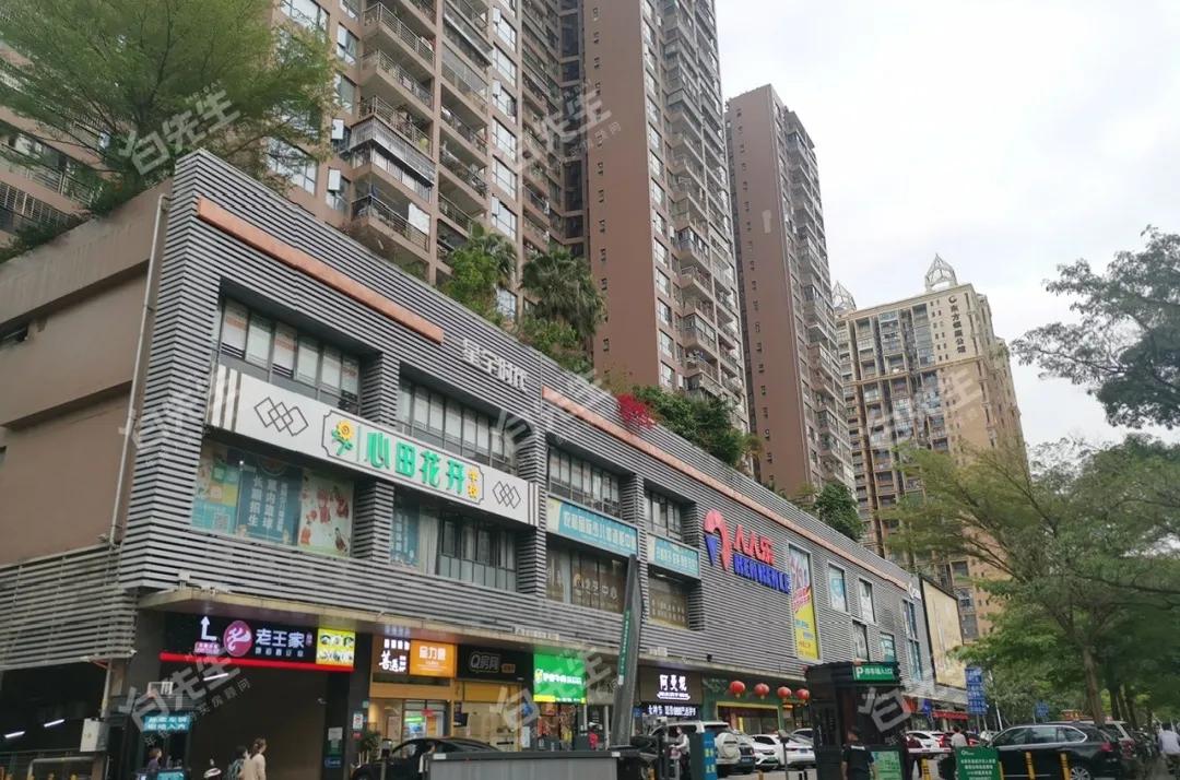 深圳星海名城 深圳星海名城6期-徐拾记官网