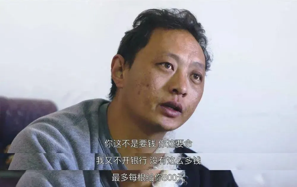 宅家不开心的城市人，都该看看这部神级国产纪录片