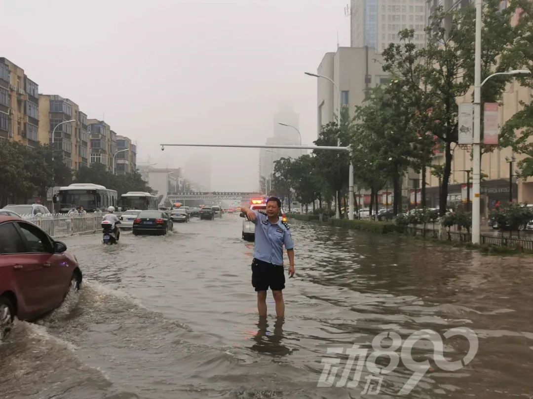 襄阳车主注意！这些违法行为全免单