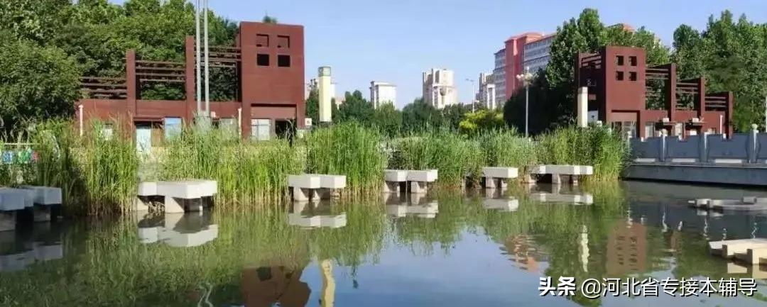 衡水学院：相比上一年招生减少1/3的名额