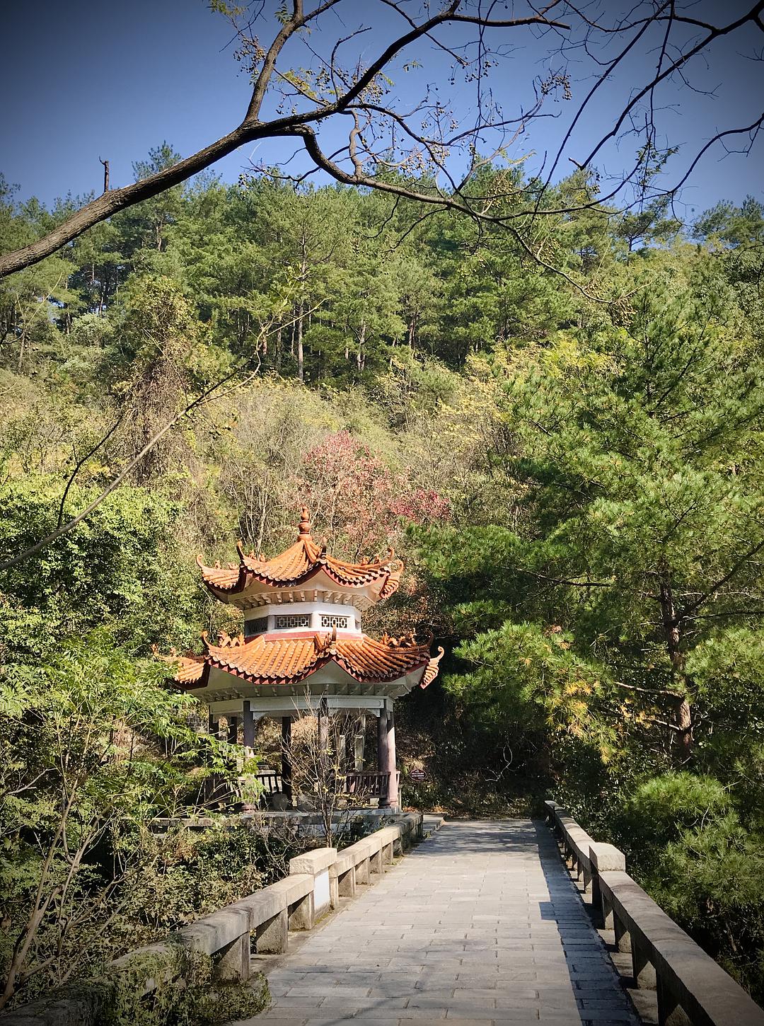 小团队周末奔袭南岳衡山，玩一把探秋观日