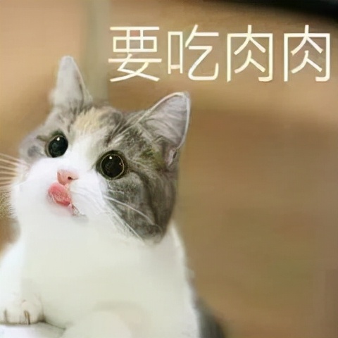 真样减肥运动最快(减肥比较快的运动)
