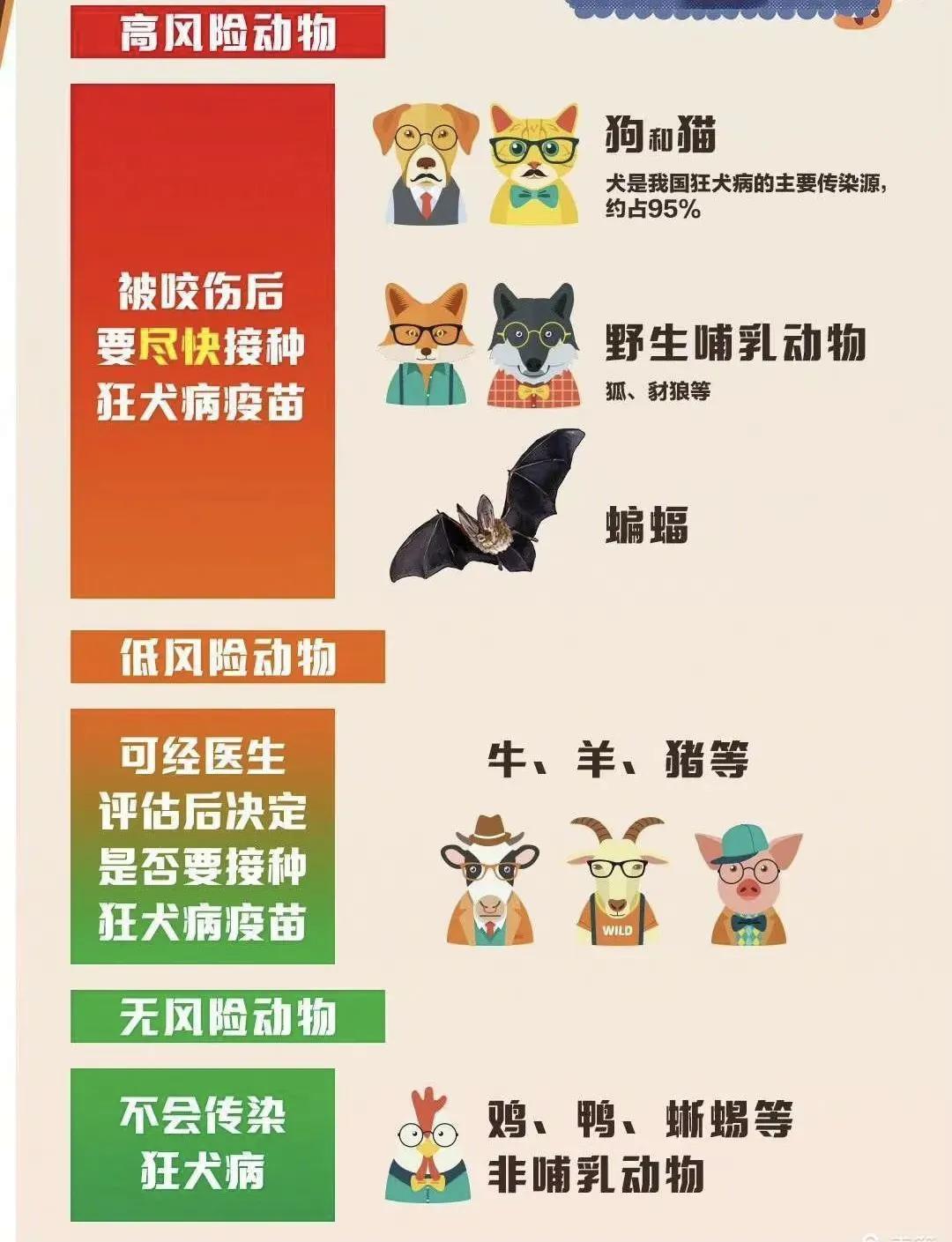 #健康科普大赛# 消除人间狂犬病，动物免疫须先行
