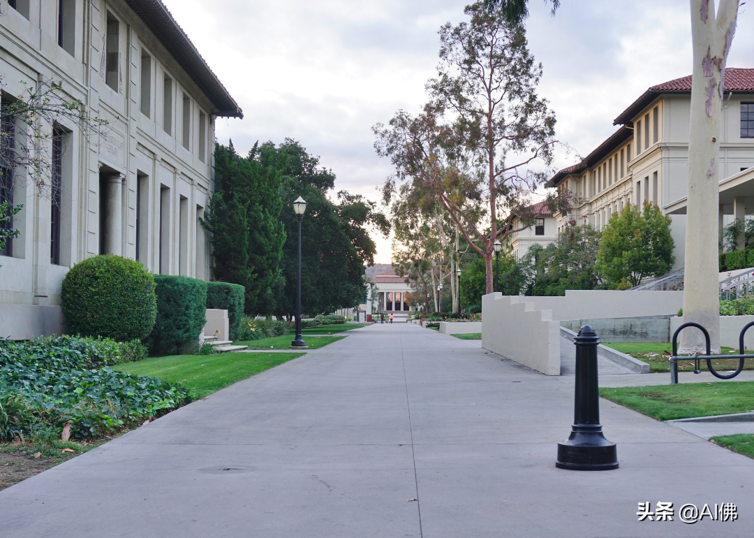 美国100所最佳文理学院