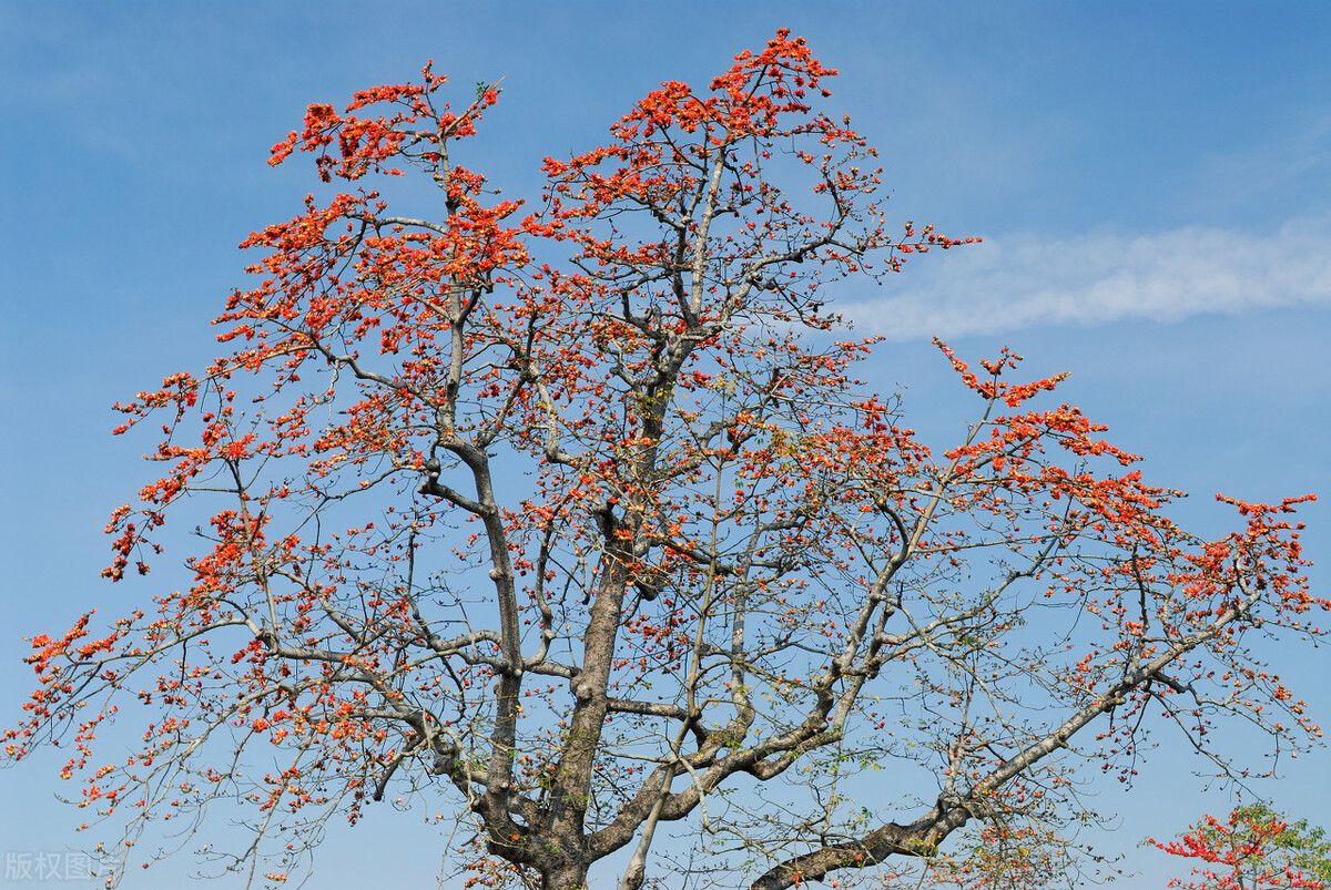 2021东莞理工学院本科招生录取情况表