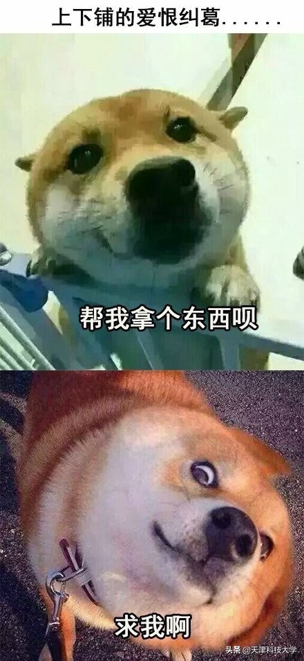 揭秘大学生的真实日常！