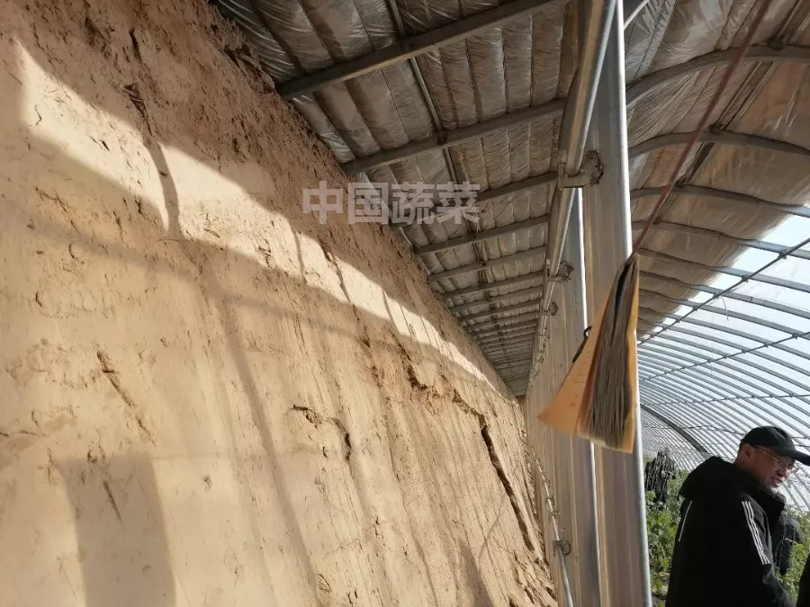 甘肃日光温室探秘!哪种墙体和骨架最“流行”?哪种造价最划算?
