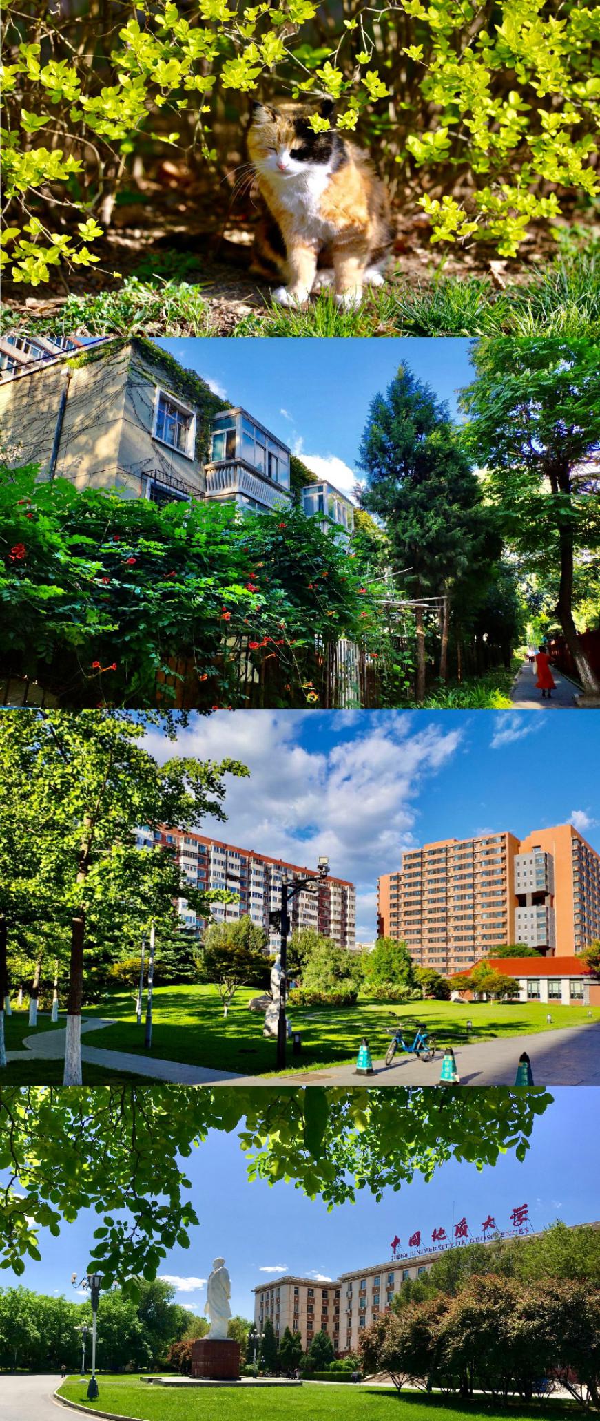 40人当选两院院士！6个学科进入世界前1%！必须报考中国地质大学（北京）的5大理由！