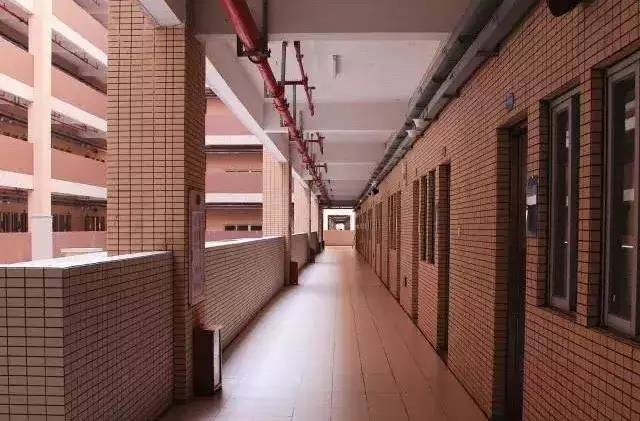 东莞市东华高级中学丨花15万读三年，东华人表示不后悔