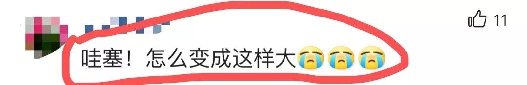 杨钰莹玉女形象幻灭！脸僵身材发福快撑爆西装，48岁仍憧憬爱情