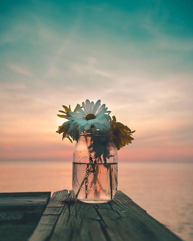 暗恋的烟花的唯美句子_晶羽科技