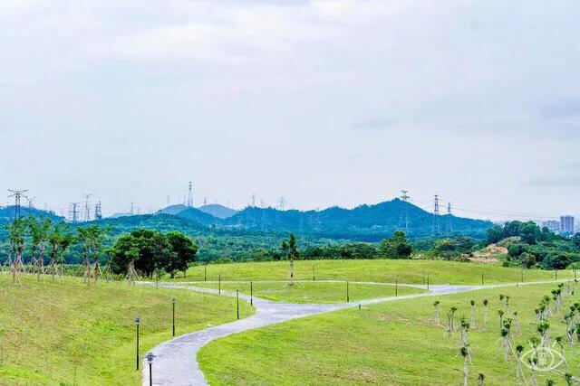 深圳十大免费特色的湖泊公园