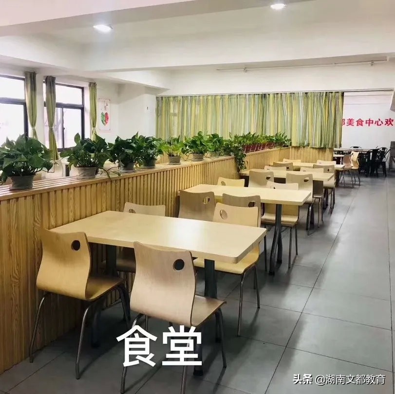 2021考研长沙寄宿制考研集训营【多图】