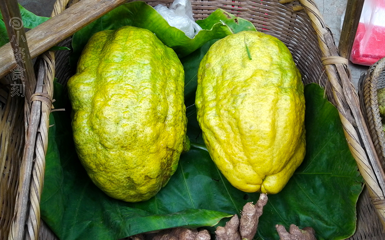 香椽食用方法带你了解香椽的基本知识和吃法