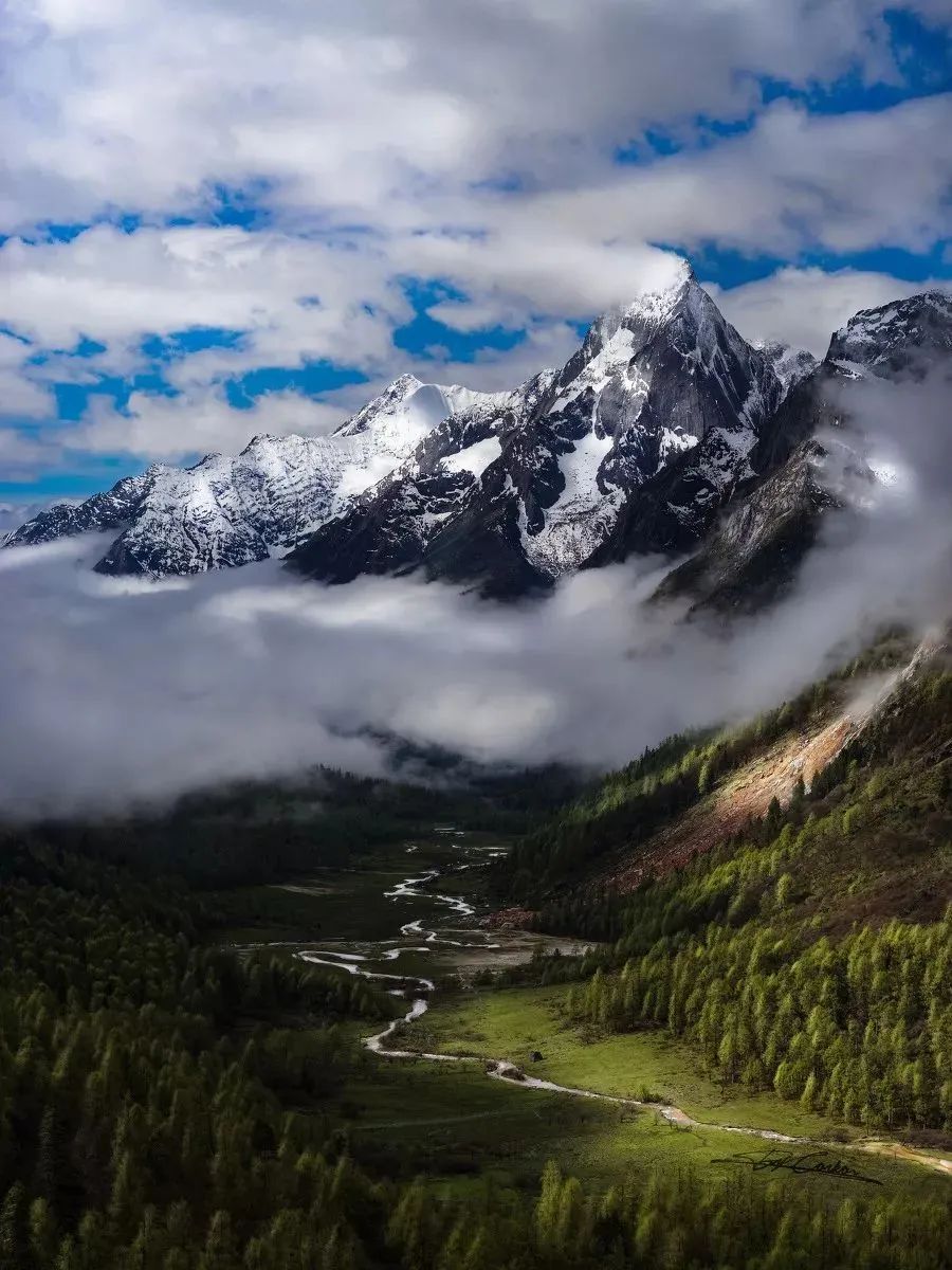 最美的风景图片大全鸟语花香人间仙境图片