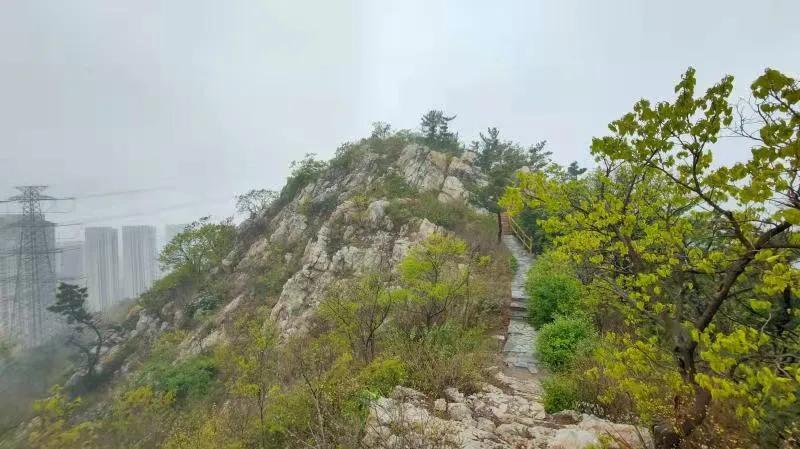 新诗：晨拍山间雾景抒怀