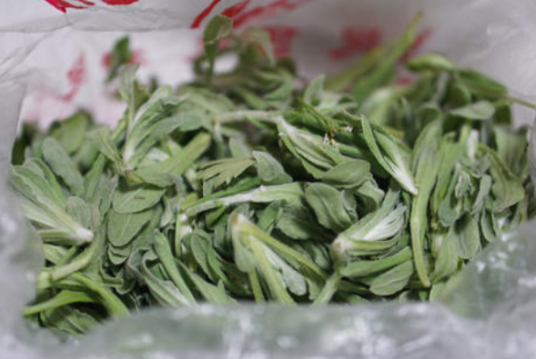 常见的"田艾"野菜，小时候母亲好采摘，天然美味，能去痰止咳