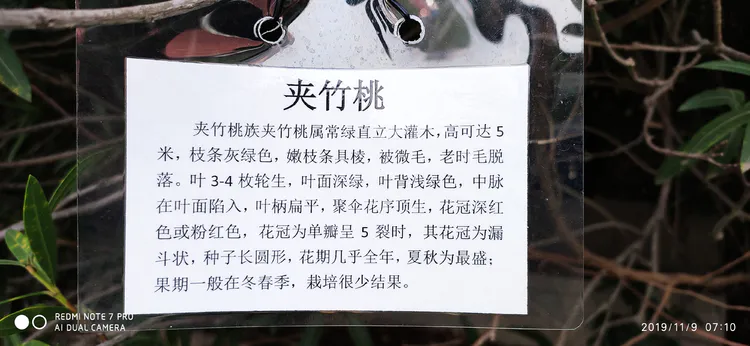 陪你一起看湖北省广水一中①——走进植物王国