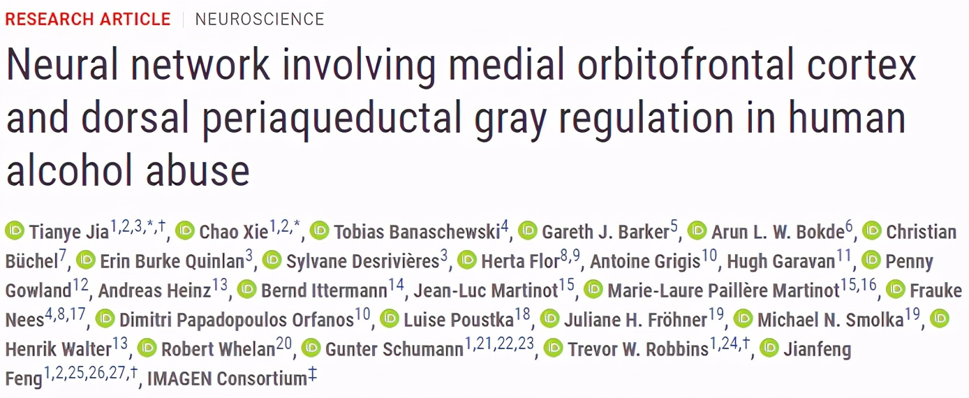 复旦研究员揭示酗酒行为背后的神经机制，或早日实现“对症治疗”
