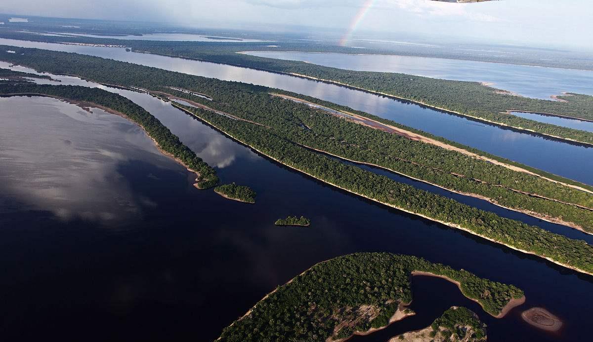 “地球之肺”在燃烧！谁该承担起生态责任？浙大博士后郭喨为你解析！