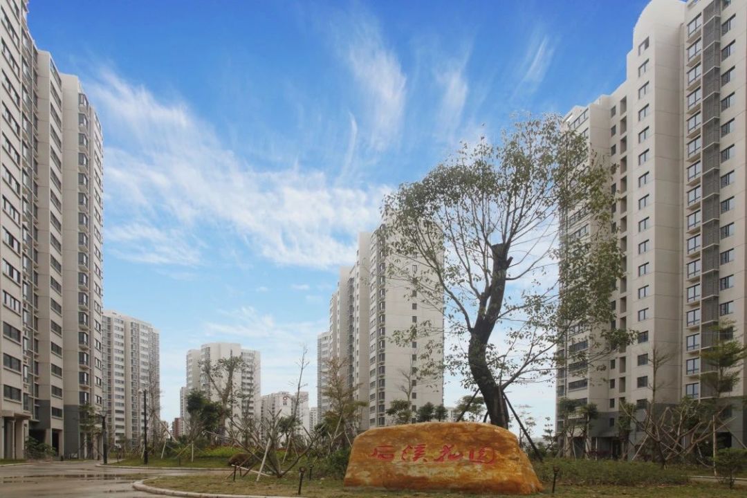 厦门交通违章查询,厦门交通违章查询网站