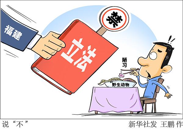 我们如何保护野生动物(保护野生动物"四法"齐发力)