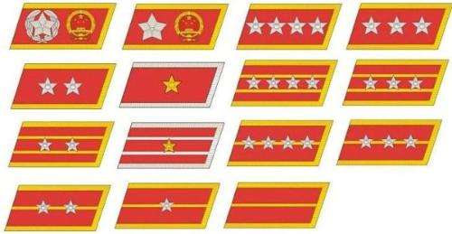 55军衔领章图解(我军1955年首次授衔,领章上兵种符号太漂亮,不一定