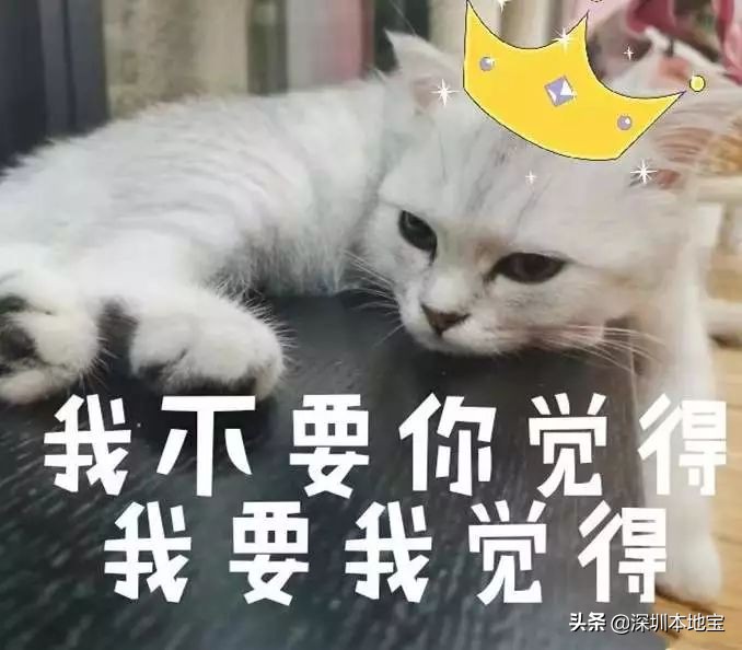 爆笑！网友解读2019十大流行语！看看你还记得哪个？