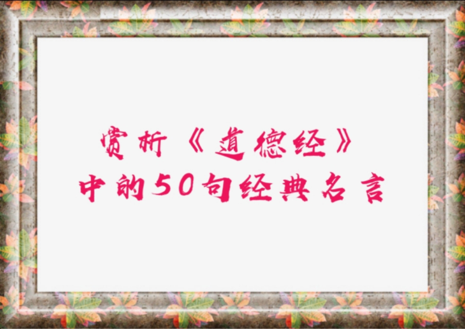 优美句子赏析：品味文字之美与情感之韵