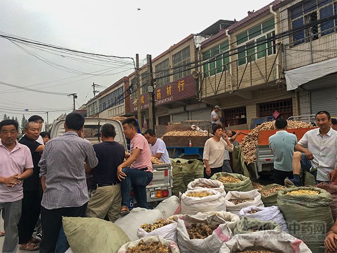 安徽亳州十九里地产中药材集市白芍最新价格行情报道