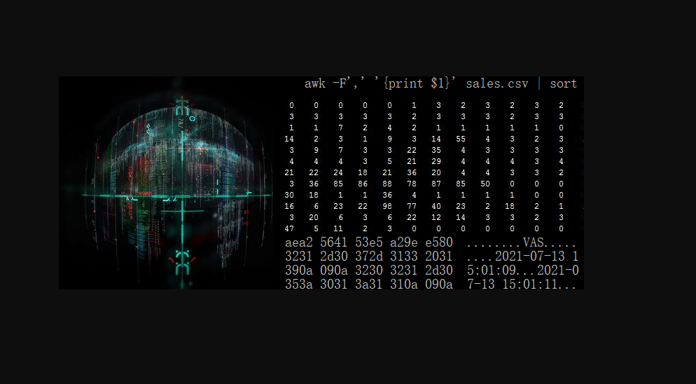 基于Linux shell的数据科学