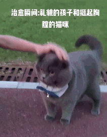 路边货车司机累得像狗一样，网友把照片发出来，笑翻：太形象了