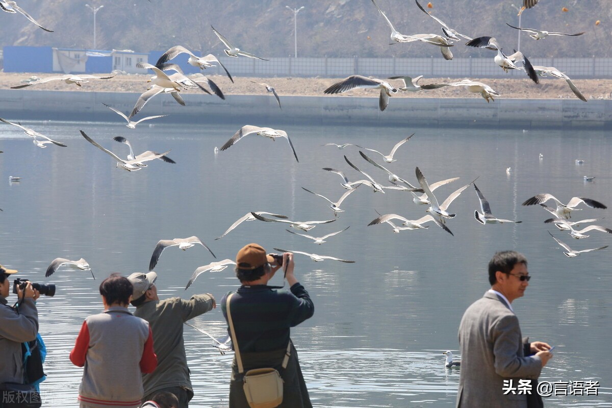 大连十大必游景点推荐：星海广场、老虎滩海洋公园、金石滩等热门旅游地榜单