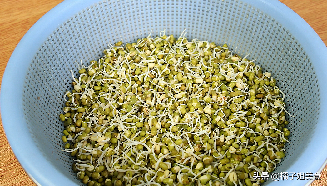 绿豆怎么发芽成豆芽，绿豆发芽成豆芽的过程分享？