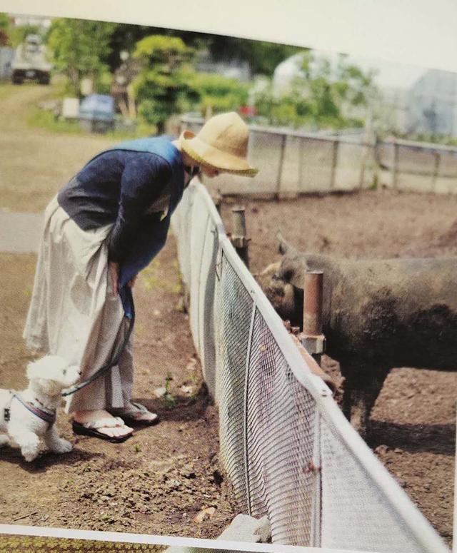 《这样就很幸福了》：学会建立五感愉悦幸福准则，开启疗愈新生活