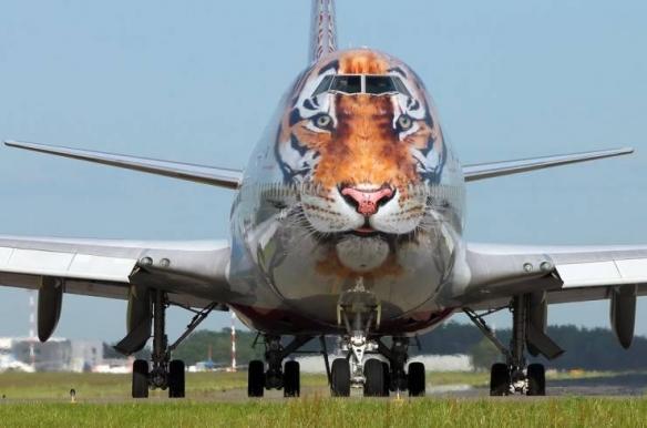 23个你可能没有见过的事物，怪异构造的四人跷跷板