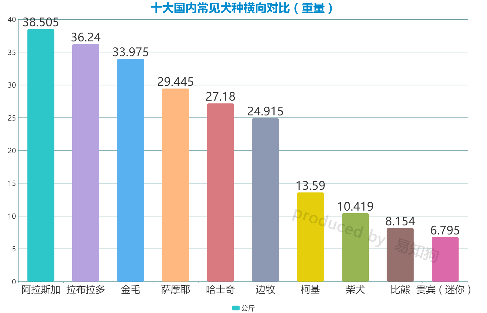 新手养狗必看：国内十大流行犬种横向对比