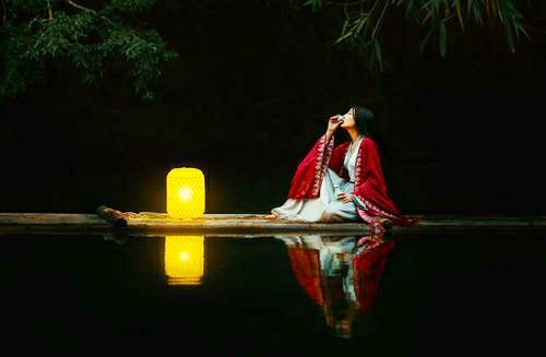 本是青灯不归客 却因浊酒留风尘 本是青灯不归客完整版-小螳螂百科网