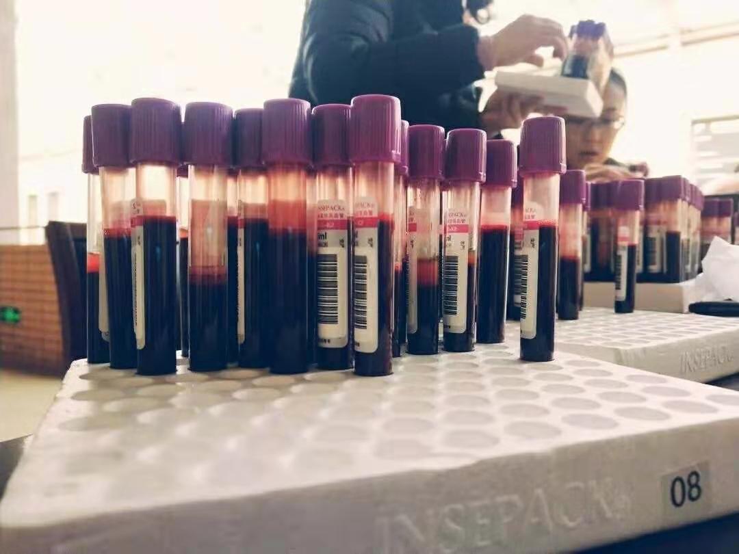 或许，这所高校就是全天津最