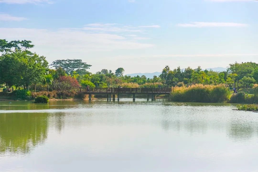 深圳宝安免费足球场(啊啊啊啊啊深圳7号线也太好玩了)