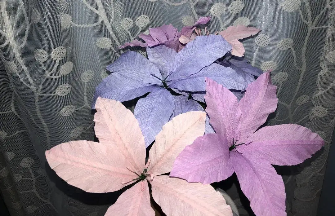 广州南洋理工职业学院人文与教育学院，因你而美丽