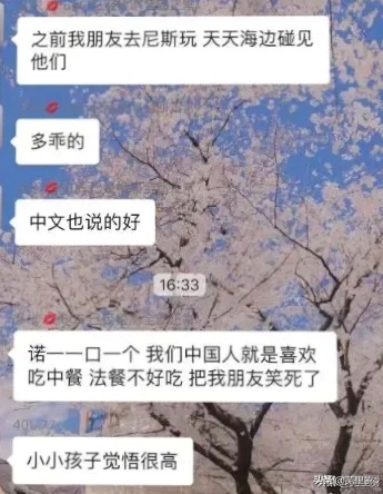 刘烨儿子大喊我是中国人：西游记十级学者刘诺一养成记