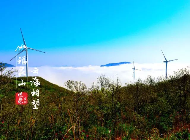 寧波北侖福泉山濱海風車,山花爛漫,雲霧鑲嵌地址:富陽市東洲街道