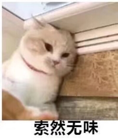 如果你面前有一盘清淡的菜,或一碗无味的汤,那么你很有可能已经在下