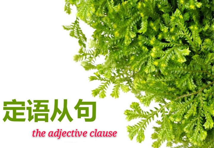定语从句修饰整个句子的用法全解析