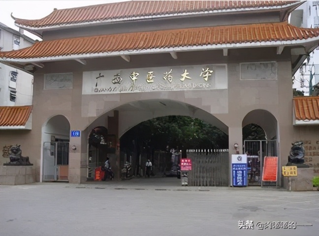 广西中医药大学中西医结合临床专硕，招生人数扩招一倍，分数线低