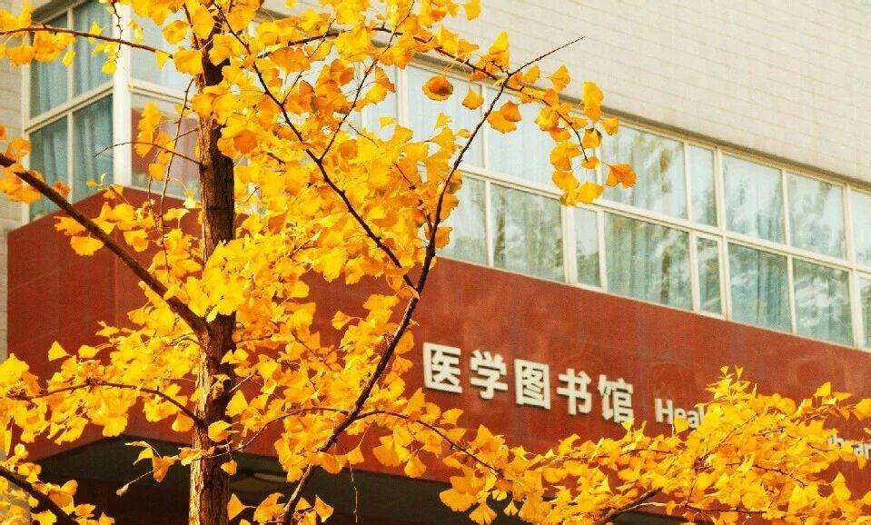 北京大学医学部和北京大学不是一个招生代码，拥有北京大学毕业证