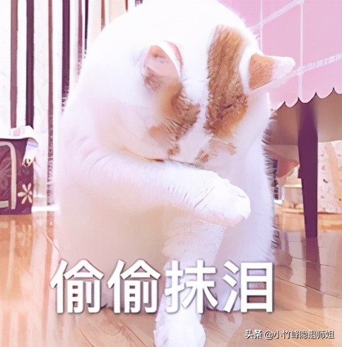 诛仙3资料站推出手机版，能边打本边看攻略了